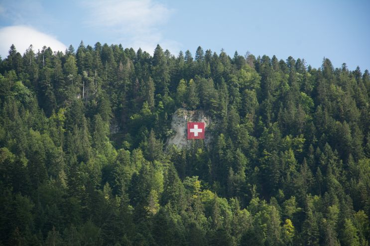 QV, LAP, Fähigkeitszeugnis, Holzbau; Lehre