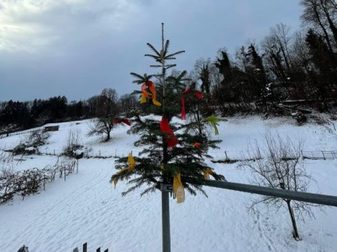 Festtage, HBM, Weihnachten, Betriebsferien